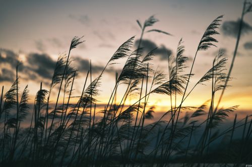 141733251_2215369281941427_5647360983465411600_n