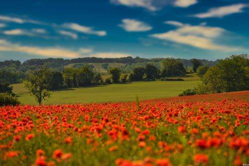 202357114_2338416212970066_1985113512021485853_n