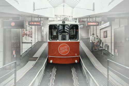 228970605_2375577185920635_1105327506089943648_n