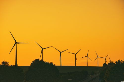 310639326_529575315837915_4150336058238757539_n